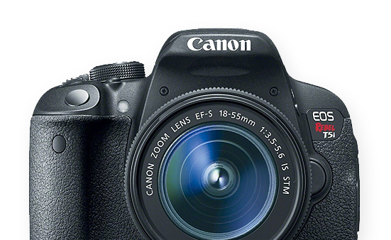 Canon EOS 5D Mark IV and Sections with Sidebar - Image 3